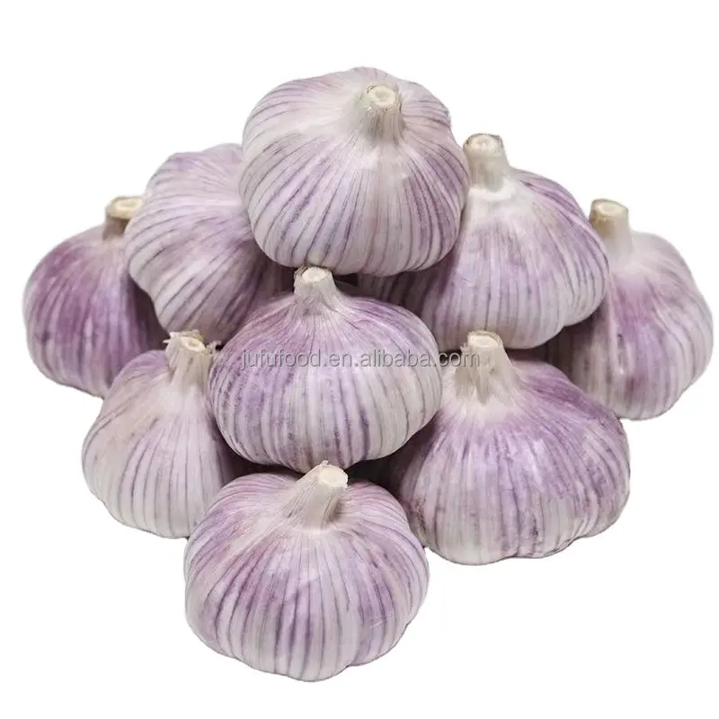 new arrival China Garlic Price in Cheap (4.5cm-6.5cm/package in carton/bag) for Export