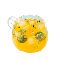 Mélange d'agrumes lyophilisés : Citron, Orange Verte, Fruit de la Passion – Thé Détox Minceur Vitaminé – Sachets de Thé Naturel et Sain (Qualité Supérieure en Vrac)