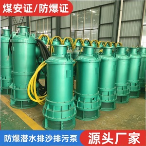 Bqs75-25-7.5kw Bomba Sumergible a Prueba de Explosiones para Minas de Carbón, Bomba Centrífuga Eléctrica de 660v con Conexión de Brida - Product Image 2