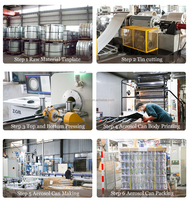 Qualité parfaite prix d'usine en gros fer blanc étanche 400ml boîtes de peinture en aérosol vides rechargeables pour usage chimique