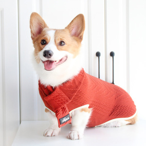 Suéter para Perro Corgi, Color Borgoña Gris, Tejido, Cálido, Ropa de Invierno para Perros Pequeños, Estilo Retro - Product Image 1