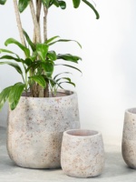 Pot de fleurs rond en ciment de grand diamètre de style Wabi-Sabi pour usage intérieur/extérieur avec Gardenia et Nandina, lieu d'origine : Aucun