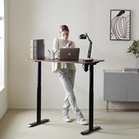 Bureau d'Ordinateur Réglable en Hauteur Électrique à Moteur Unique