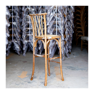 Chaise <span class=keywords><strong>de</strong></span> <span class=keywords><strong>bar</strong></span> en gros, design Botanica, tabouret <span class=keywords><strong>de</strong></span> <span class=keywords><strong>bar</strong></span> haut pour mariage, fête, banquet, événement et mobilier <span class=keywords><strong>de</strong></span> jardin - Product Image 6