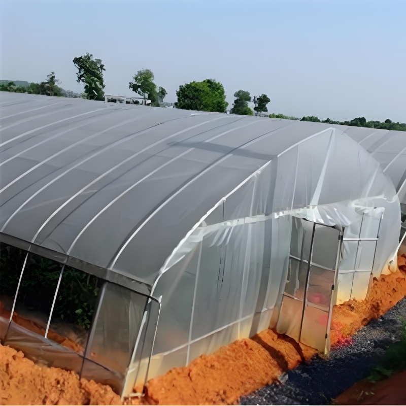 High Tunnel Garden Greenhouse Large Walk