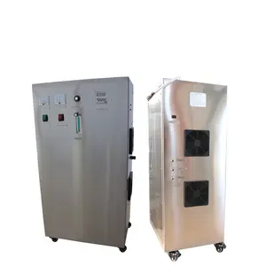 Stainless steel reverse osmosis portable industrial medical ozone generator for water treatment