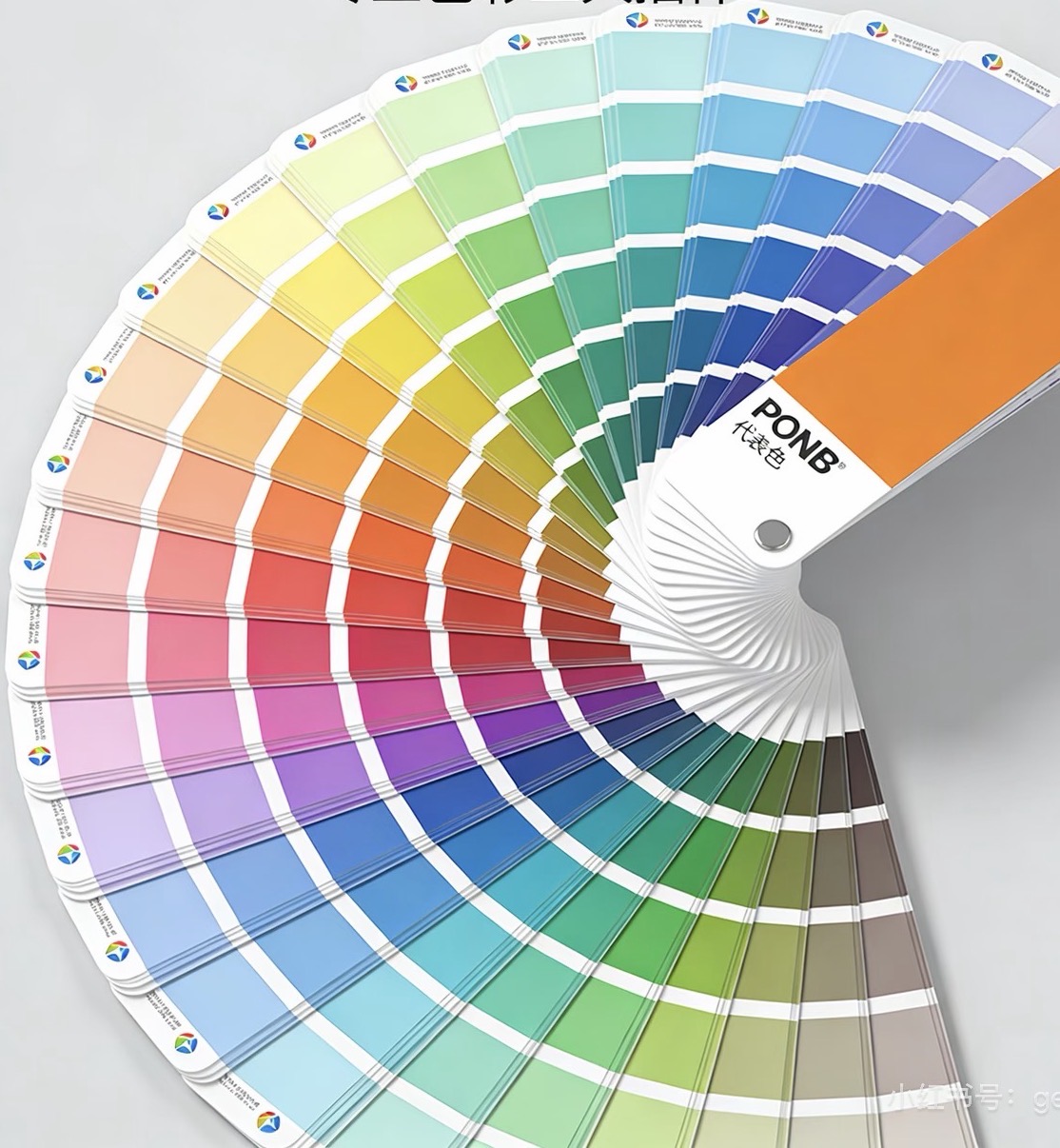 Customized Colors
