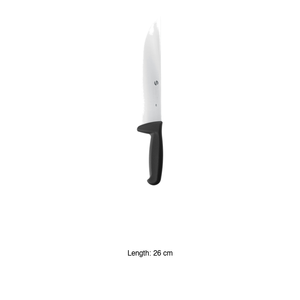 Couteau de chef 26 cm Supra Ambrogio Sanelli - Product Image 3
