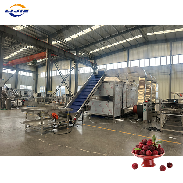 Industrial Multi Layer Mesh Belt Drying Machine for High Volume Production of Dried Black Pepper and Various Spices
