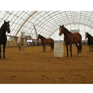 Tente pour bétail 6x6m en promotion, structure en acier robuste, abri pour volailles - Product Image 2