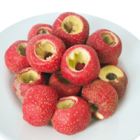 2026 Nieuw Ontwerp Fabriek Gedroogde Meidoornbes Originele Smaak Geconserveerd Gezonde Casual Knapperige Snacks