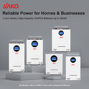 Sistema de Energía Solar SAKO Li-Sun, Baterías de Iones de Litio para Almacenamiento, Batería Lifepo4 de 24V 48V 100ah 200Ah 320ah 400ah 600ah para el Hogar - Product Image 6