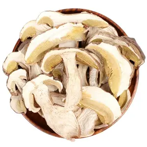 Hongos secos boletus Edulis de alta calidad Hongos de mantequilla orgánicos Hongo porcini