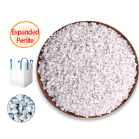 Perlite Hortikultura Ukuran Beragam Grosir 0.5-8mm Bahan Mineral Ringan untuk Campuran Tanah Kebun Perbanyakan Benih