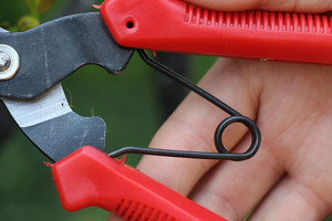 Ciseaux d'élagage pour plantes <span class=keywords><strong>de</strong></span> jardin Sécateur pour arbres à raisins Ciseaux d'élagage pour arbustes - Product Image 5