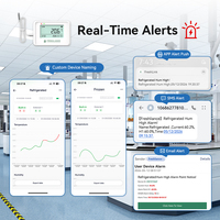 Coeus-MINI WIFI, plateforme cloud gratuite, alertes SMS, e-mail et application, capteur de température WiFi, enregistreur d'humidité pour entrepôt de médicaments