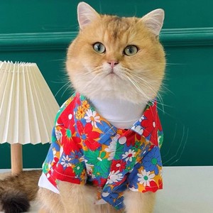 Chemise florale d'été pour chats et petits chiens, vêtements légers de style hawaïen pour animaux de compagnie - Product Image 3