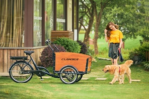 Vélo cargo électrique à 3 roues, moteur central 36V 250W, style Bakfiets familial, cadre en aluminium, <span class=keywords><strong>Nexus</strong></span> <span class=keywords><strong>8</strong></span> vitesses, freins à disque hydrauliques - Product Image 6
