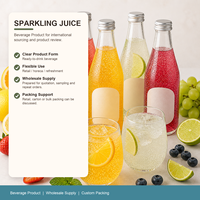 Sprankelende fruitsapmonsters, diverse smaken, kant-en-klaar, 200ml, lage minimale bestelhoeveelheid beschikbaar