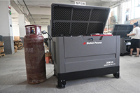 Générateur silencieux bi-carburant 15-30 KVA 4 cylindres, essence/gaz naturel, ATS intégré, châssis en acier robuste, personnalisable