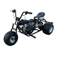 Kart à pédales à essence pour adultes, 3 roues, mini tricycle tout-terrain, course, divertissement, moto