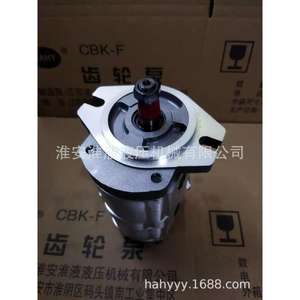 Pompe hydraulique à double engrenage sur mesure CBK1010/4 B4FR - Product Image 1