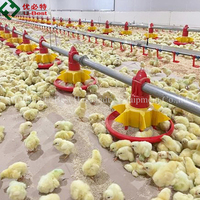 Système de contrôle automatique de l'alimentation et de la température pour poulaillers, équipement d'élevage de poulets à prix d'usine