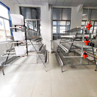 Cage à poules pondeuses de type 4 à 4 niveaux pour 128 oiseaux, cage à poules pour petite ferme avicole à bas prix