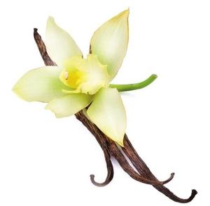 Высококачественный концентрированный ванильный ароматизатор для выпечки мороженого - Product Image 6