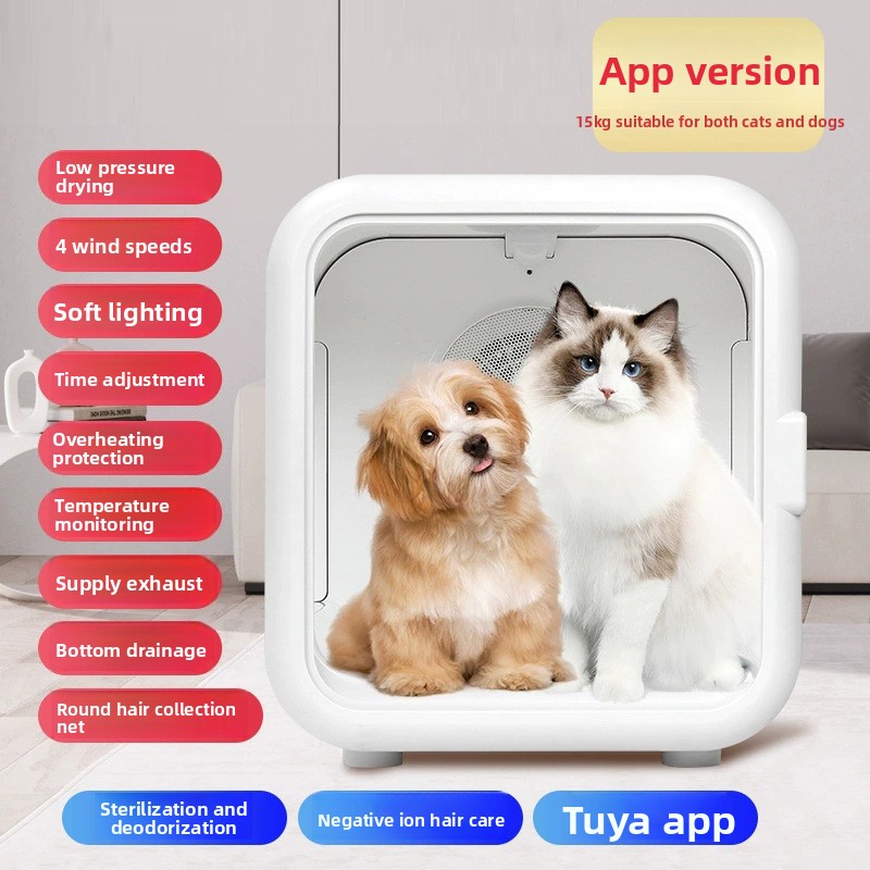 Versione dell'APP