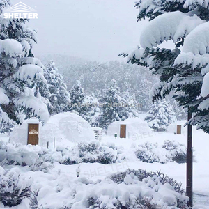Maison igloo préfabriquée pour l'hiver en plein air Hôtel Casa <span class=keywords><strong>Domo</strong></span> 2 relié par un tunnel Tente dôme avec poêle - Product Image 2