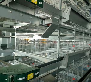 Jaula de batería tipo A para gallinas ponedoras y de engorde, sistema moderno de jaulas para animales, equipo de cría de aves de corral con alambre de hierro galvanizado - Product Image 4