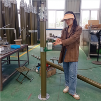 Mâts télescopiques à manivelle YANGBO pour éolienne verticale