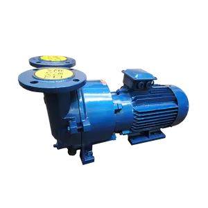 Factory supplier Monoblock Single Stage Cast Iron Stainless Steel Electric Liquid ring vacuum pump