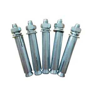 Hot Sale Stainless Steel Sleeve Type Expansion Anchor Bolts M16 Expansion Bolt Nuts