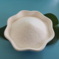 Silice précipitée, noir de carbone blanc, dioxyde de silicium SiO2 CAS 7631-86-9, agent de remplissage renforçant pour pneus en caoutchouc et semelles de chaussures