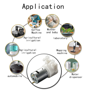 Bomba peristaltica do motor da escova do micro do elevado desempenho bpt tubo de silicone 12v bomba de medição líquida - Product Image 6