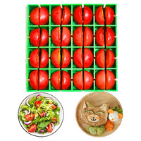 Nieuwe Product Ideeën Snijder Keuken 16-delige Druiven Kersentomaten Saladesnijder Snijder voor halve of kwart snijden 16 stuks tegelijk