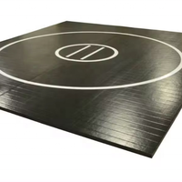Tapis de sol en vinyle lisse XPE pour BJJ et MMA, épaisseur 2cm-5cm, personnalisable avec couleur sur mesure pour exercices en extérieur