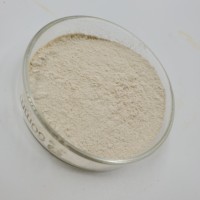 Poudre de Nuclease de Qualité Supérieure 12 000 u/g de Grade Alimentaire, Améliorateurs Nutritionnels, CAS 60675-83-4, Prix en Gros
