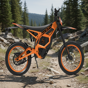 Wish04 Pro Brushless 100km/h <b>72V</b> Central Aluminum Lithium <b>Battery</b> Dirt Bike Road Motorcycle for Adults Retro - Product Image 1