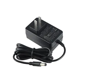 ERP DOE seviye VI güç adaptörü 24 V 1A güç kaynağı 24 Volt 1 Amp AC DC şarj aleti adaptörü LED ışıkları için güvenlik kamerası monitör