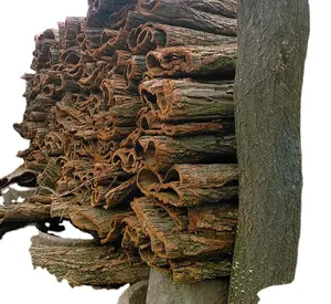 Pe 재료 원예 용품 나무 보호대 검은 나무 껍질 보호대