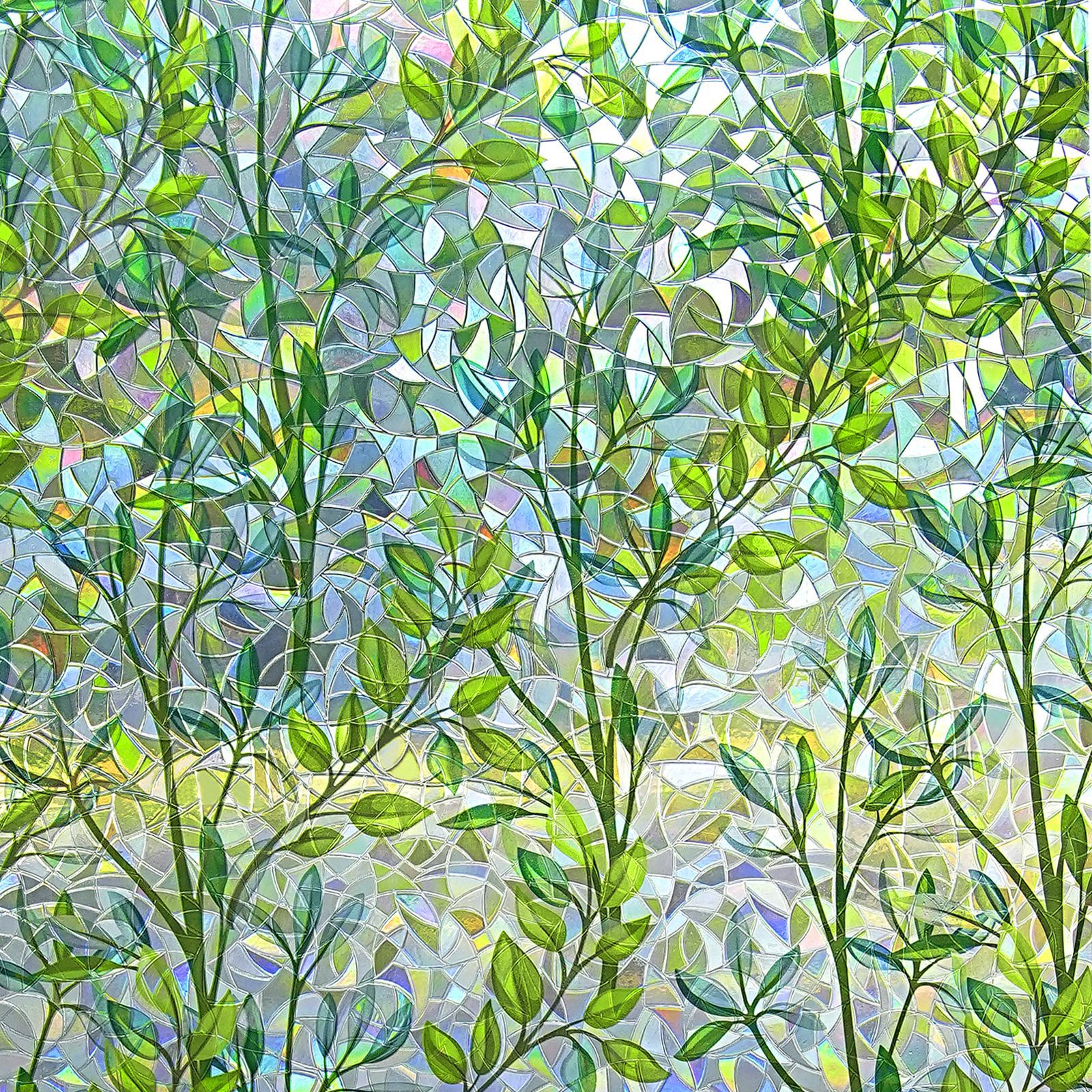 3d laser spring dawn yyp059-width 03m x length 1m/roll