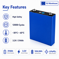 Cellule de batterie LiFePO4 3.2V 314Ah en stock UE, 12000 cycles, cellule prismatique pour stockage d'énergie solaire ESS
