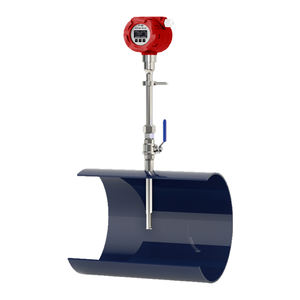 Indicador de Flujo, Controlador de Flujo de <span class=keywords><strong>Gas</strong></span>, Dispositivos de Medición de Flujo de Aire, Medidor de Biogás - Product Image 6