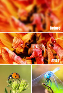 GiAi Grosir Lensa Zoom Teleskop Optik 18x 2 in 1 Kit Lensa Makro Ponsel Lensa Kamera Eksternal + Filter CPL - Product Image 5