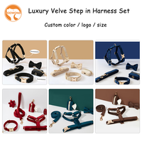Collier de luxe en velours personnalisé pour laisse de chien entraînement pour animaux de compagnie marche harnais réglable pour chien ensemble de laisse et collier