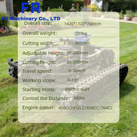Livraison Gratuite CE EPA Euro 5 Tondeuse à Gazon Autopropulsée Porte-à-Porte Moteur Essence & Tondeuse Robot Tout-Terrain RCT800S