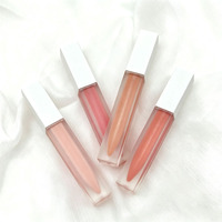 Gloss à Lèvres aux Fruits avec Paillettes Marque Blanche Huile à Lèvres Ananas Transparent Effet Verre Jus En Gros
